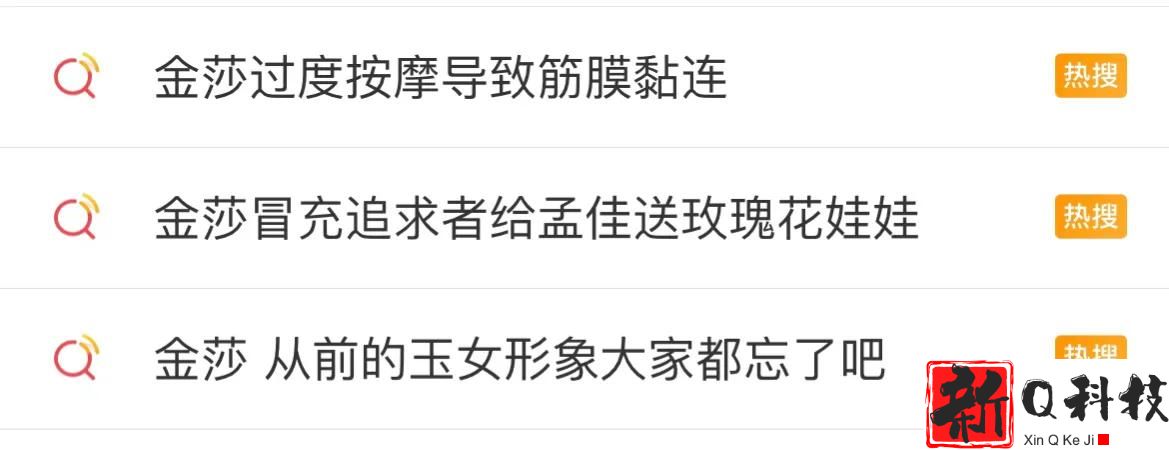 甜歌玉女金莎的毁灭史（金莎的红用昙花一现放在身上更合适）