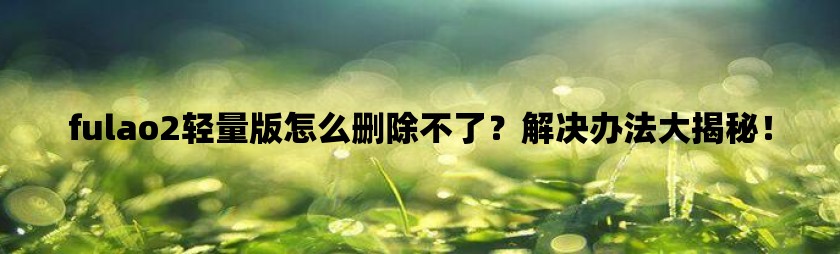 fulao2轻量版怎么删除不了？解决办法大揭秘！