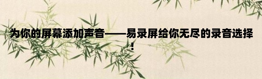 为你的屏幕添加声音-易录屏给你无尽的录音选择！