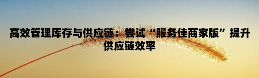 高效管理库存与供应链：尝试服务佳商家版提升供应链效率