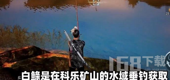 黎明觉醒白鲦鱼钓鱼点分享-黎明觉醒白鲦鱼钓鱼技巧攻略教学