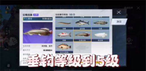和平精英巨骨舌鱼在哪钓 和平精英巨骨舌鱼钓点详情介绍