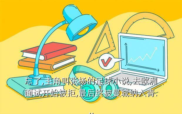 忘了,主角叫张杨的足球小说,去欧洲面试开始被拒,最后终被曼城纳入青...